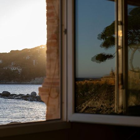 Casa Concha Apartamentos カレリャ・デ・パラフルジェリ エクステリア 写真